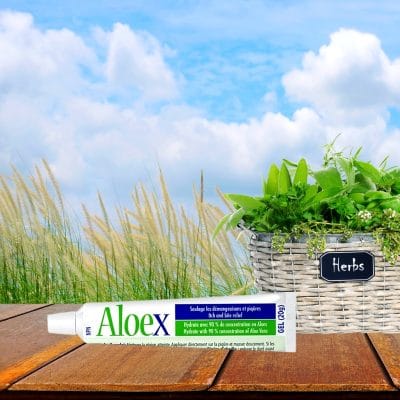 Baume contre piqûres Aloex 20 g