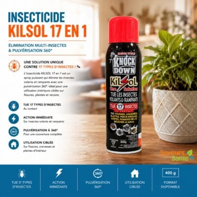 Insecticide KILSOL 17 en 1 pour éliminer moustiques, fourmis, araignées et insectes rampants