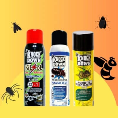 Insecticides maison et jardin