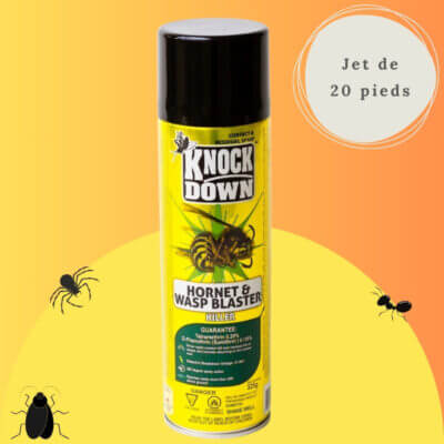 Tue-Guêpes & Frelons 510g – Jet 20 Pieds & Protection Longue Durée