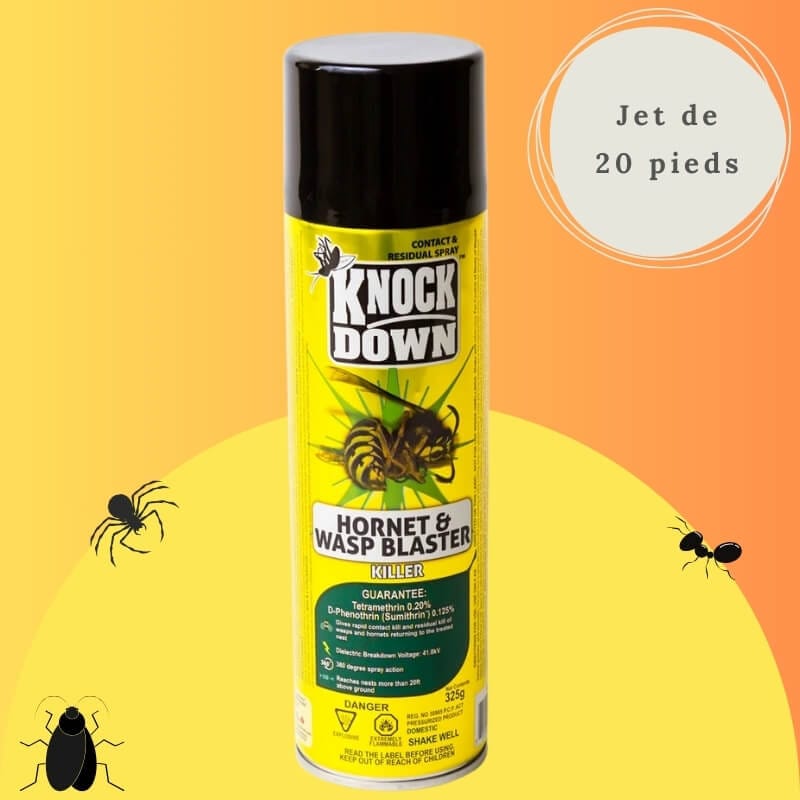 Tue-Guêpes & Frelons 510g – Jet 20 Pieds & Protection Longue Durée