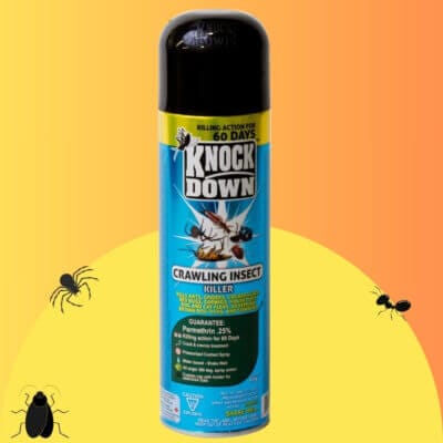 Tue-Insectes Multi-Rampants 439g – Barrière Protectrice 60 Jours