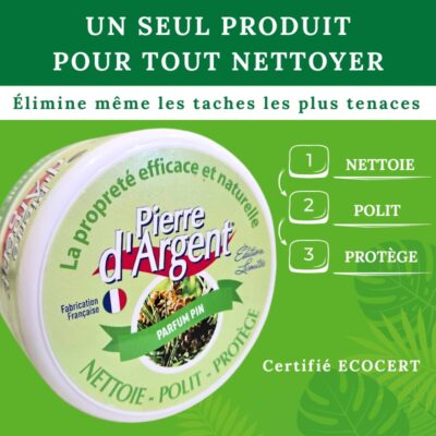 Pierre d’argent 300 g nettoyant naturel multi surface ECOCERT