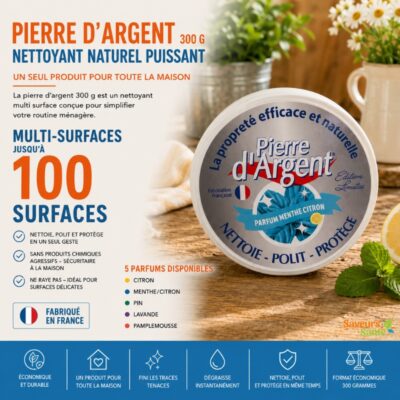 Pierre d'Argent 300 g nettoyant naturel puissant multi-surfaces