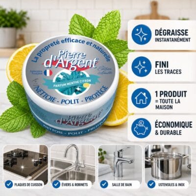 Pierre d’argent 300 g nettoyant naturel multi surface ECOCERT